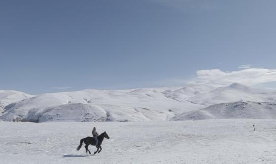Scene from the film 5 Dreamers and a Horse
